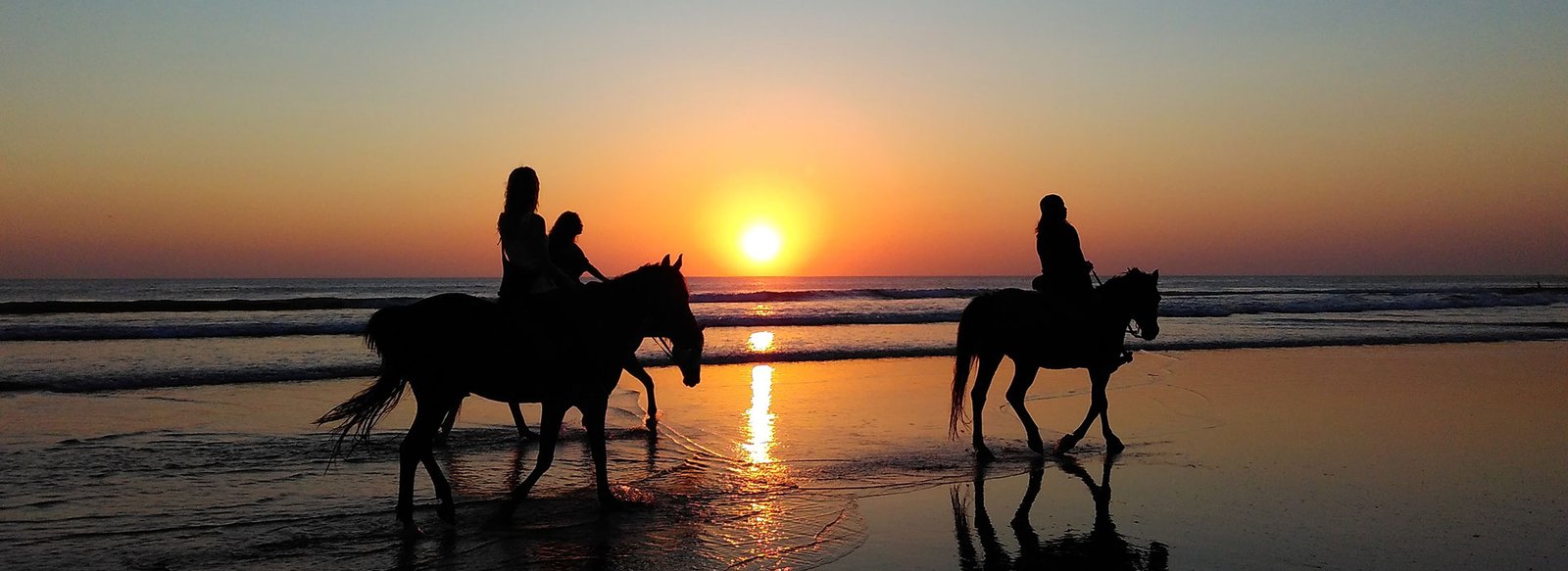 Horse Riding