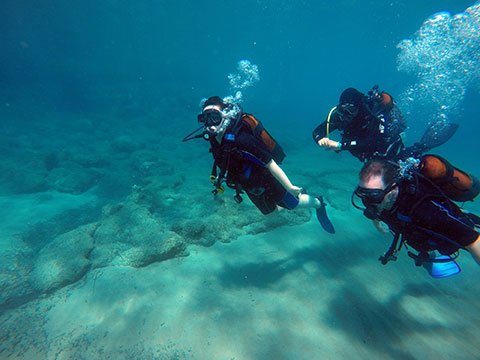 Scuba Dive